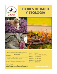 Flyer curso flores marzo 2016